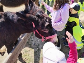 img_20250513_103257